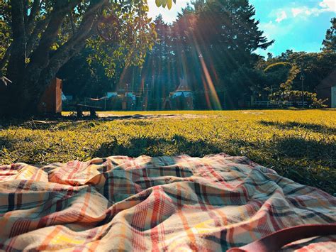 13 Picturesque NJ Picnic Spots - New Jersey Digest