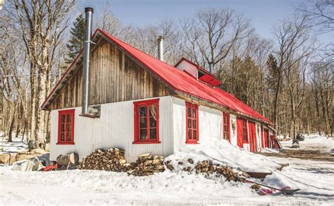 Maple Syrup Sugar Shack In Forest On Maple Season Stock Image Image