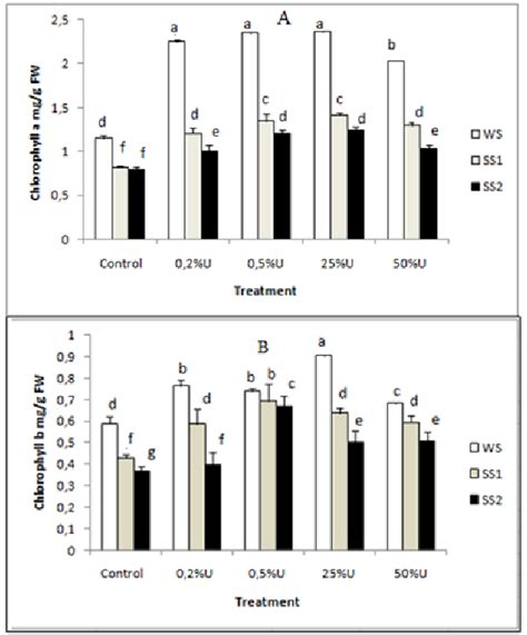 Effect Of Salt Stress On Chlorophyll A Content A And On Chlorophyll B