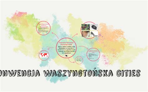 Konwencja waszyngtońska cities by Paulina Daniszewska on Prezi