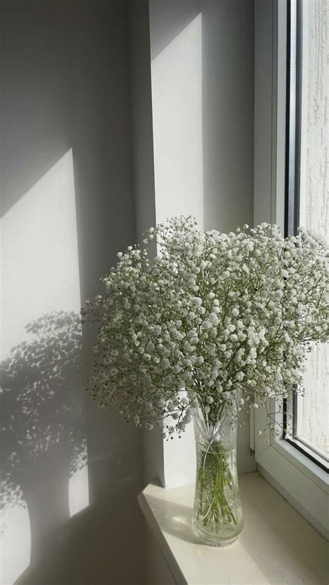 gypsophila,flower | Букеты из полевых цветов, Букеты фотографии, Цветы