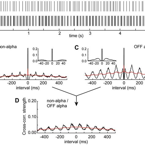 Correlation Analysis Of Spike Trains Recorded From An Alpha And