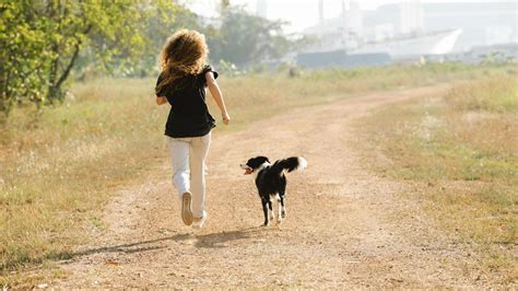 Salir A Correr Con Tu Perro Es Más Fácil Con Esta Correa Que Se Adapta