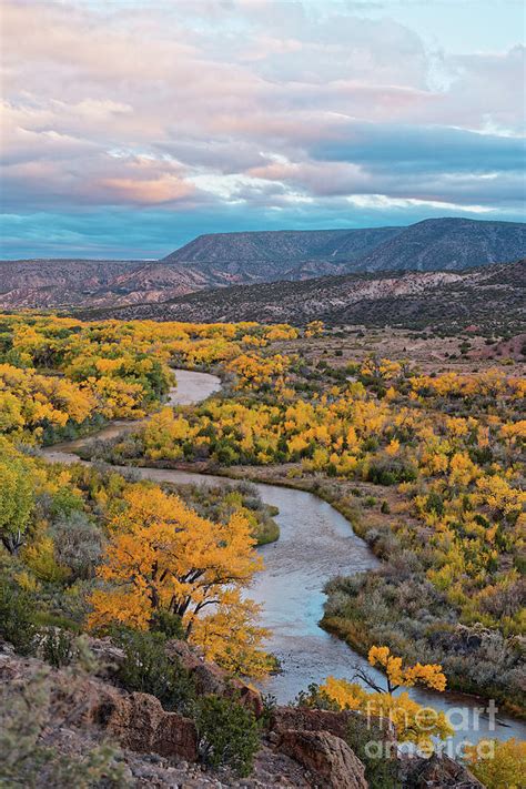 Chama River Valley Golden Cottonwoods Abiquiui Rio Arriba County New