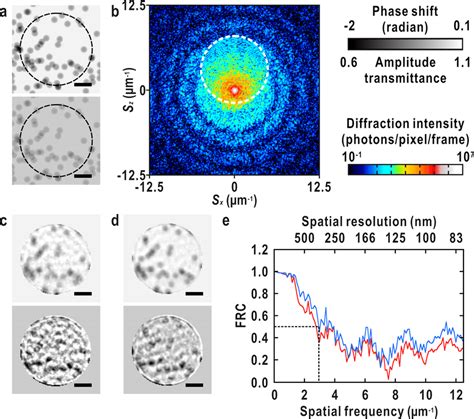 Image Reconstruction From A Single Shot Diffraction Pattern Obtained Download Scientific