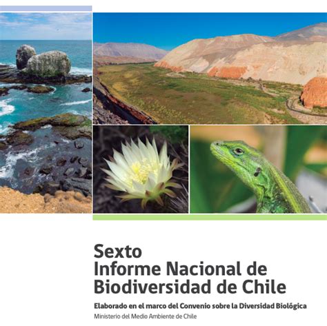 Ministerio Del Medio Ambiente Presenta Sexto Informe Nacional De