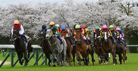 【桜花賞】ステレンボッシュが桜の女王に輝く モレイラ騎手歓喜「距離延びても問題ない」 3歳馬特集 競馬写真ニュース 日刊スポーツ