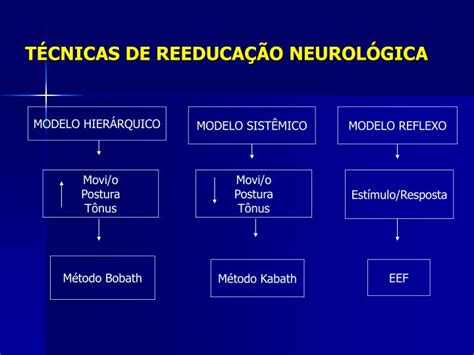 PPT TÉCNICAS DE REEDUCAÇÃO NEUROLÓGICA PowerPoint Presentation free