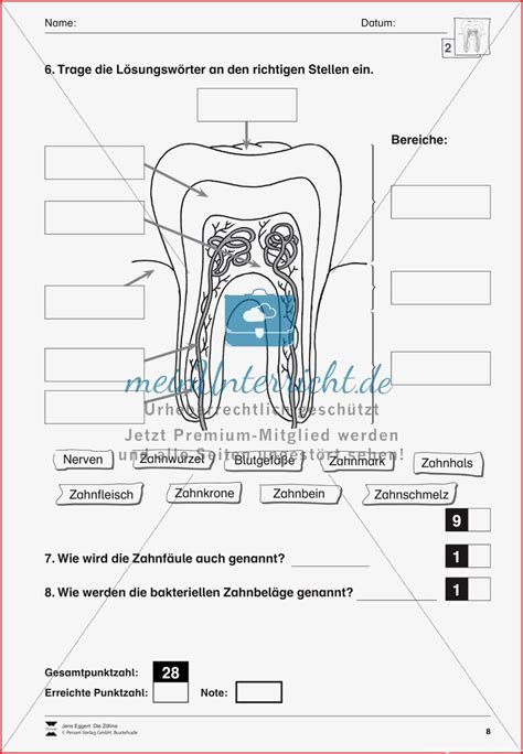 Biologietest Z Hne Bungen Meinunterricht Kostenlose Arbeitsbl Tter