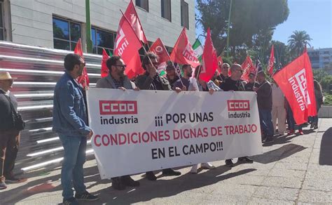 Ccoo Se Concentra Para Exigir A La Patronal Del Campo Que Aplique La