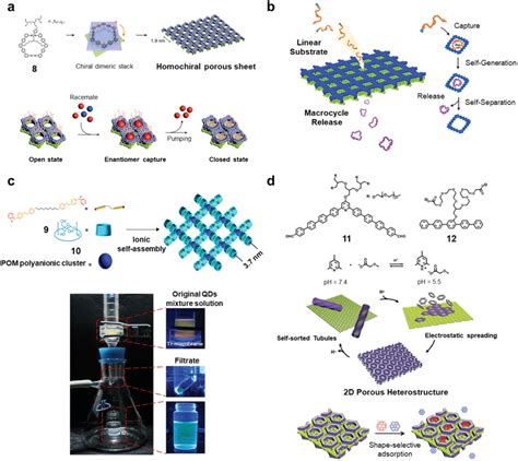 Schematic Representation Of The Application Of Static 2D Materials A