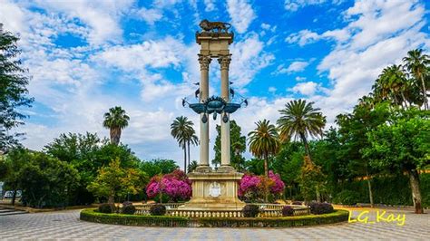 Jardines De Murillo Seville What To Know Before You Go With