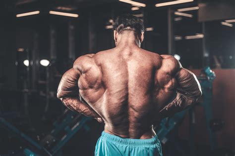 The Only 7 Exercises Men Need To Build Muscle Gravity Transformation