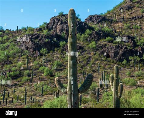 Picacho Peak Is A Distinctive Landmark Located Halfway Between Phoenix