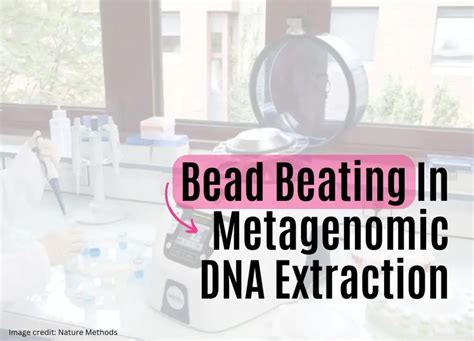 Metagenomics Made Easy Streamlining DNA Extraction With Bead Beating