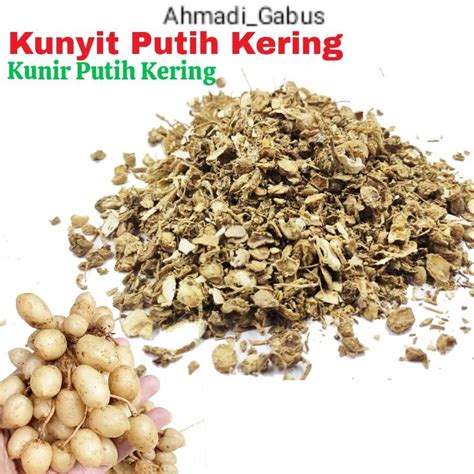 Jual Kunyit Putih Kering 1 Kg Kunit Putih Kering 1 Kg Temu Putih