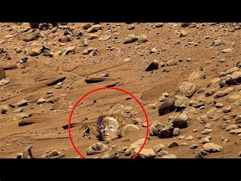 Nasa Mars Perseverance Rover Live Sent New K Footage Mars Latest K