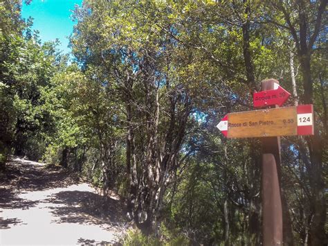 Escursione In Aspromonte Pietra Cappa E Rocce Di San Pietro