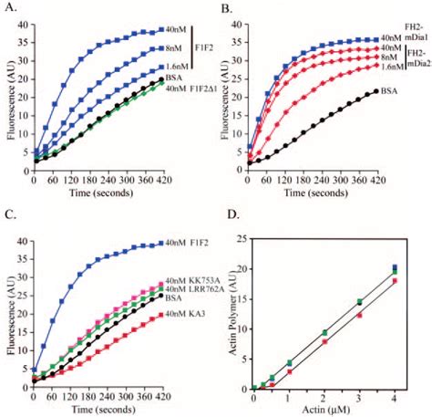 Actin Polymerization In Vitro Correlates With Srf Activation In Vivo