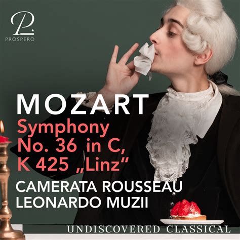 Apple Music 上Camerata Rousseau Leonardo Muzii的专辑Mozart Symphony No