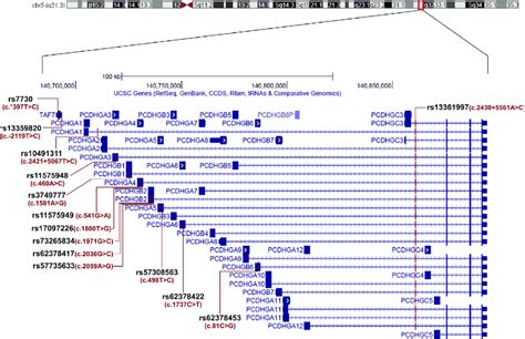 Overview Of Variations In Chr Q Schematic Diagram Includes Pcdhg