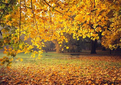 Todo lo que debes saber sobre el equinoccio de otoño y algo más