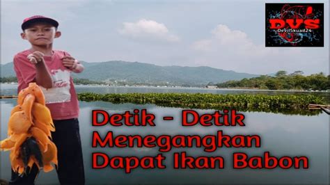 Tidak Di Sangka Tambak Ikan Ini Banyak Babon Nya Hasilnya Sangat