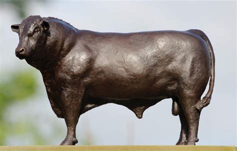 Small Hereford Bull Bronze Brian Alabaster Mrbs Brian Alabaster