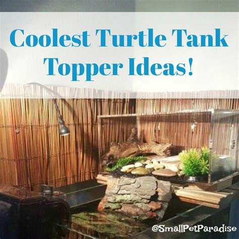 Best Turtle Tank Topper Ideas To Keep Your Pet Turtle Healthy Tortoise