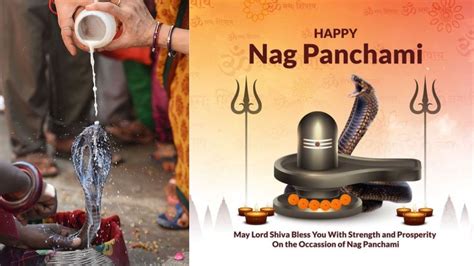 Naga Panchami Denna Rebeca