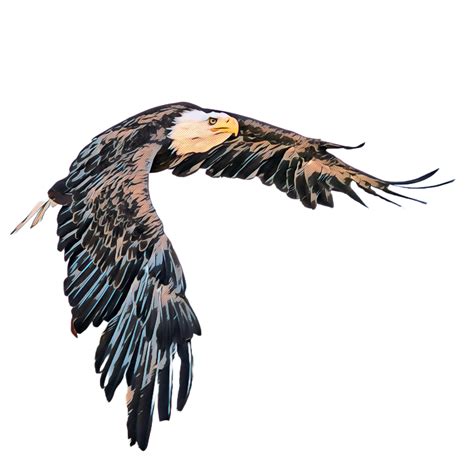 Download Eagle Fly Flying Royalty Free Stock Illustration Image