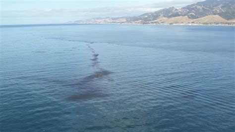 This Week in Whales: Oil Spills Are Bad from BP Disaster to Santa Barbara; Designing Whale ...