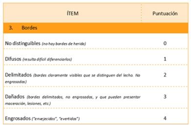 Monograf A Valoraci N Y Monitorizaci N De Heridas Escala Resvech