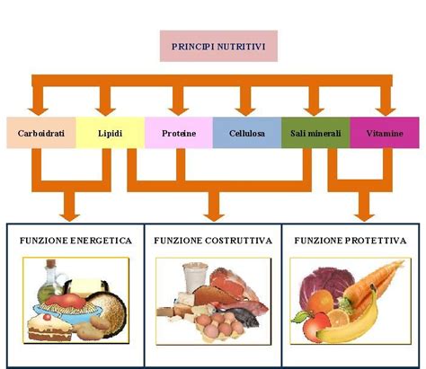 Inquinamento Del Suolo Artofit