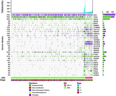 Landscape Of Colorectal Cancer Genomic Alterations A Total Of