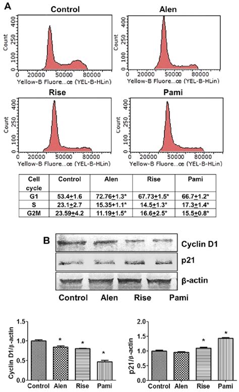 Effect Of Bps On Cell Cycle And Apoptosis Associated Proteins In Mcf 7