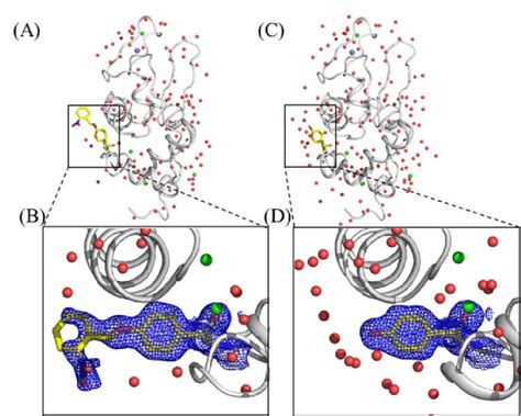 Crystal Structures Of Hen Egg White Lysozyme Hewl With The