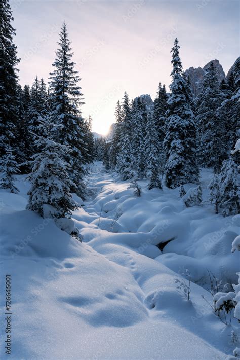 Fotografia Do Stock Verschneiter Bachlauf Und Lichtung Im Wald Im