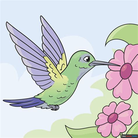 Hummingbird In Flight Drawing