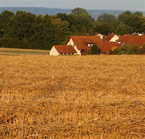 Fotos Gratis Paisaje Campo Granja Trigo Pradera Verano Pueblo