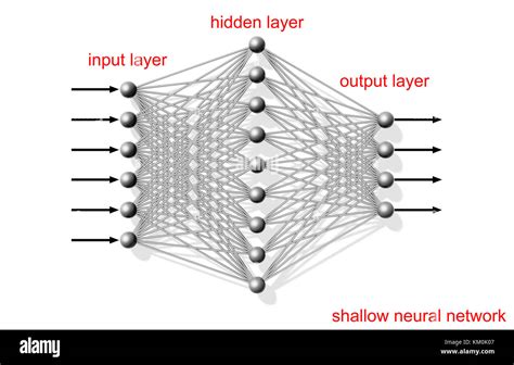 Red Neuronal Artificial Superficial Esquema De Estructura Con Capas Etiquetas De Texto Sobre