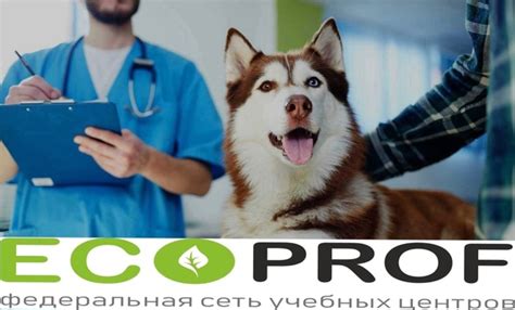 Санитар ветеринарный 3 500 руб. Ветеринарный санитар — это технический ...