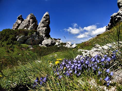 Zdjęcia Na Szlaku Tatry Zachodnie W Drodze Na Siwy Wierch Słowacja