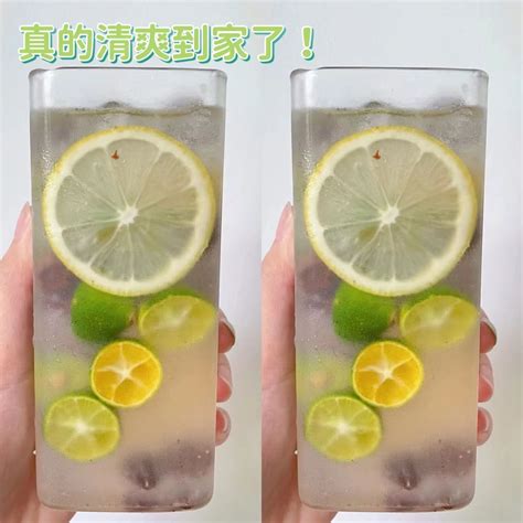 【24h發貨 台灣現貨】話梅檸檬茶 薄荷青桔檸檬茶凍乾組合沖飲獨立小包裝夏季必備冷泡茶水果茶果茶 蝦皮購物