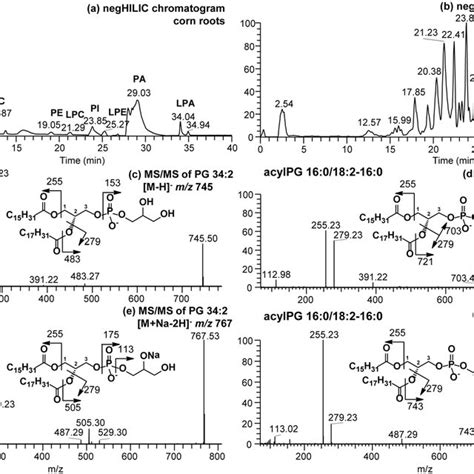 Uhplc Ms Chromatogram In Negative Ion Mode Of The Standard Lipid