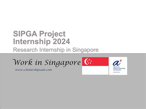 SIPGA Project Internship 2024 International Internships 2024