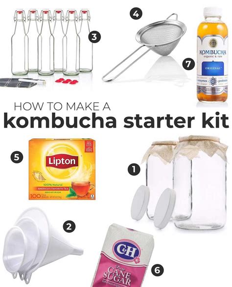 Best Kombucha Starter Kit (Make Your Own!) | Brew Buch