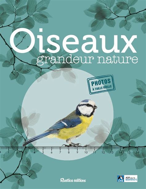 Oiseaux Grandeur Nature Fcpn