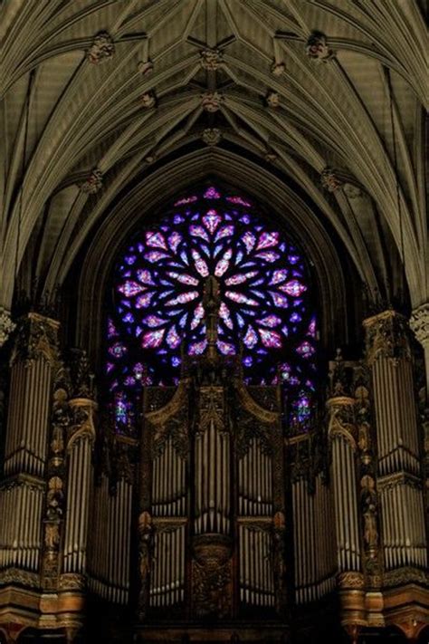 Pretty Purple Things St Patricks Cathedral New York City Stained