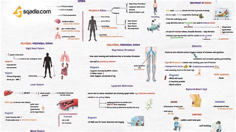 Bilateral Peripheral Edema